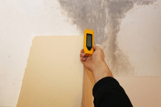 Best Indoor Air Quality Assessment  in Brookshire, TX