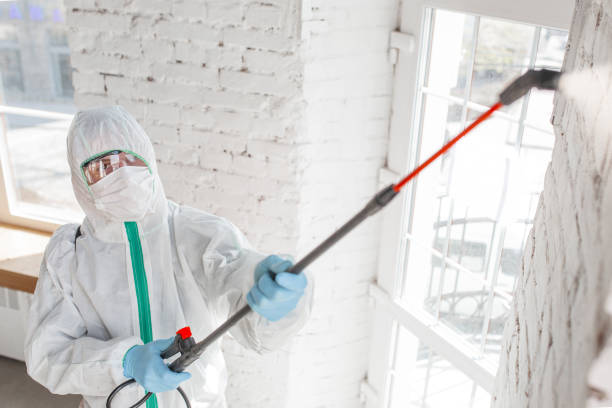 Best Residential Mold Inspection & Testing  in Brookshire, TX