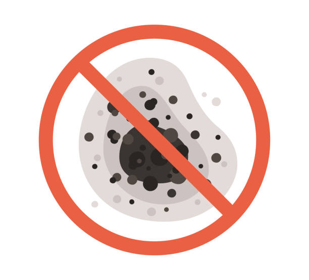 Dehumidification Services in Brookshire, TX