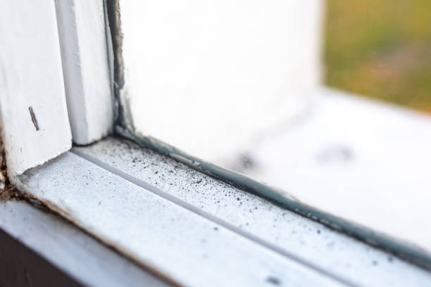 Best Post-Construction Mold Inspection  in Brookshire, TX