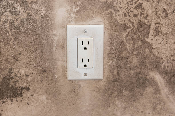 Best Air Quality Testing for Mold Spores  in Brookshire, TX